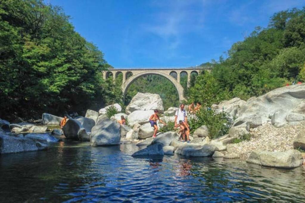 Anduze Les Lauriers Au 